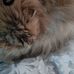 Ruth Eaves - Facebook