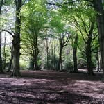 Ruth Edgerton - @ruthedgerton - Instagram