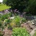 Ruth Eisele - Facebook