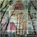 Ruth Engelhardt - @engelhardt0110 - Instagram