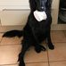 Ruth Engelhardt - Facebook