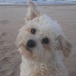 ruth enright - @r.a.enright - Instagram
