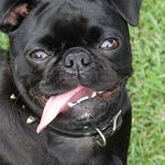 Ruth Everett Ellington - @ruthellington - Instagram