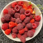 Ruth Ewald Archer - @ruthewaldgreenwoods - Instagram