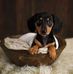Ruth Farmer - Facebook