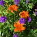 Ruth Farr - Facebook