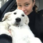 Ruth Farrell - @seekersoftheruth - Instagram