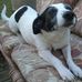 Ruth Farris - Facebook