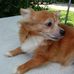 Ruth Farris - Facebook