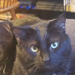 Ruth Miller Farris - @ruthmillerfarris - Instagram