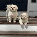 Ruth Turner Farriss - @ruth.farriss65 - Instagram