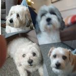 Ruth Farrow - @farrow8319 - Instagram