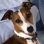 Ruth M Feldman - @rmeryl - Instagram