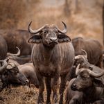 Ruth Ferrell - @ruthferrell531839 - Instagram