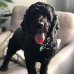 Ruth Beavan Fielding - @ruth.b.fielding - Instagram