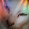 Ruth Fierro - @ale54234 - TikTok