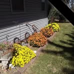 Ruth Fillmore - Facebook