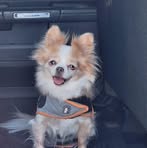 Ruthie Fillmore - Facebook
