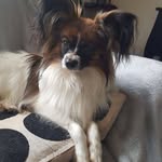 Ruth Finlay - @finlayruth7 - Instagram
