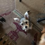 Ruth Fish - @ruthmfish57 - Instagram