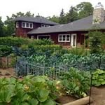 Ruth Roediger Flaherty - @flahertyruth - Instagram