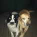 Ruth Fleming - Facebook