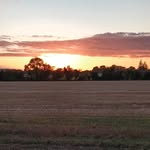 Ruth Fleming - @ruthfleming367 - Instagram
