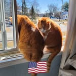 Ruth Ann Foss-Malcolm - @mainely_ruthie - Instagram