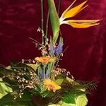 Ruth Frey - @ruth.frey.5099 - Instagram