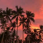 Ruth Gabel - @izhanmikado - Instagram