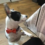 Ruth Gable - @ruthgable - Instagram