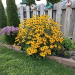 Ruth Gable Driscoll - @rgdriscoll - Instagram