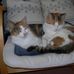 Ruth Gamble - Facebook