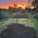 Ruth Gamble - @mumgrowsveg - Instagram