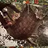 ruthgamble752 - @ruthgamble752 - TikTok