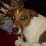 Ruth Garside - @ruth.garside.16 - Instagram