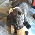 Ruth Garside - Facebook