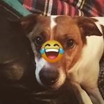 Ruth Garside - @ruth.garside.77 - Instagram