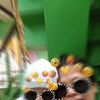 ruthgascon930 - @ruthgascon930 - TikTok