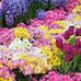 Ruth Gessner - Facebook