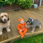 Ruth Giles - @ruthgiles1963 - Instagram