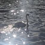 Ruth Gillett - @gillettruth - Instagram