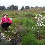 Ruth Golan - @golanruth - Instagram