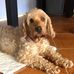 Ruth Golding - Facebook