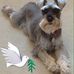 Ruth Golding - Facebook