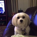 Ruth Golding Shaw - @ruth_shaw_50 - Instagram
