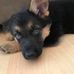 Ruth Groff - Facebook