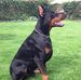 Ruth Gunter - Facebook