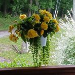 Ruth Guthrie - Facebook
