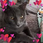 Ruth Campbell Halvorsen - @rhalvorsn1957 - Instagram